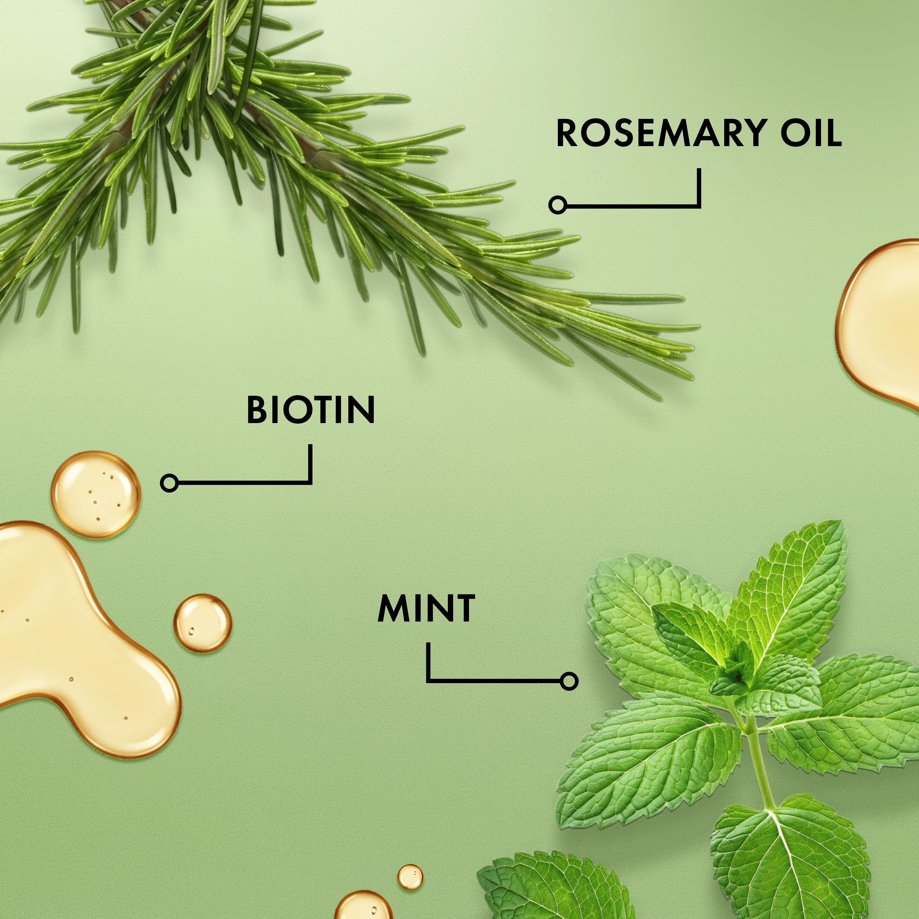 Mielle Rosemary Mint Scalp & Hair Strengthening Oil - 59ml